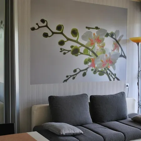 Apartment I Love