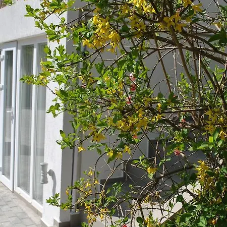Apartamento I